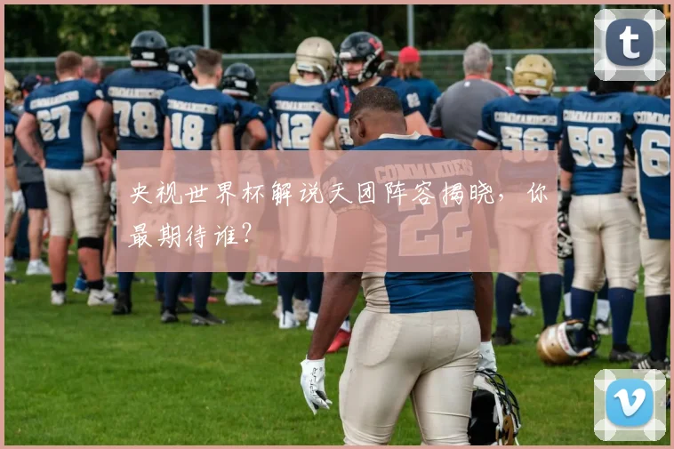 央视世界杯解说天团阵容揭晓，你最期待谁？